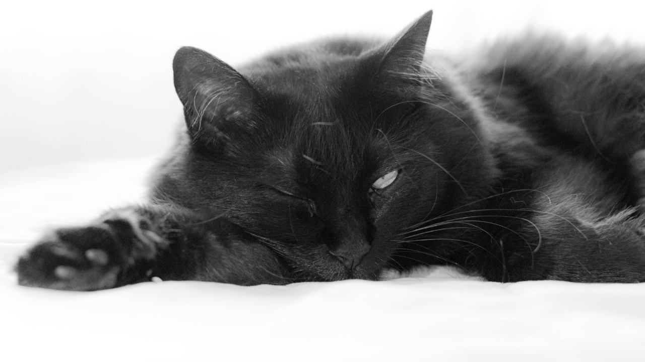 ro---2025-12-09T165443.924