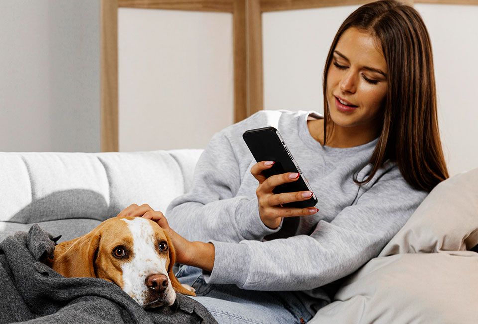 woman wearing a gray sweater making a call to her vet on cell phone while holding her sick dog on her lap
